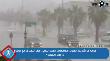 موجة حر شديدة تضرب محافظات مصر اليوم.. كيف تتصرف مع ارتفاع درجات الحرارة؟